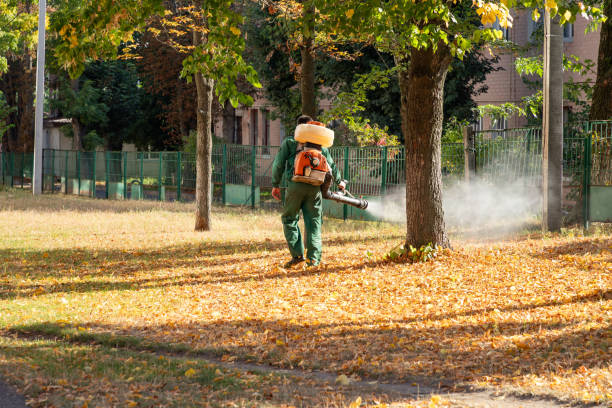 Best Mosquito Control Services  in West Hamburg, PA